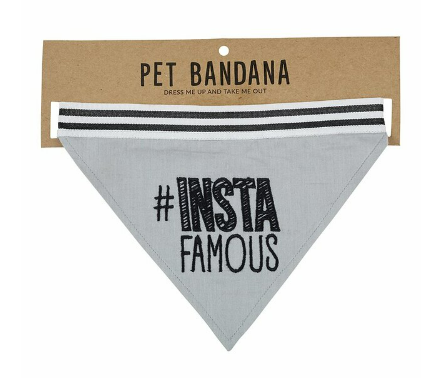 Pet Bandana -#Instafamous