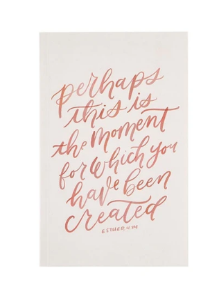 Perhaps this is the Moment - Notebook
